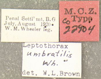 Media type: image; Entomology 22904   Aspect: labels